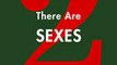 Download There Are Two Sexes Ebook {EPUB} {PDF} FB2