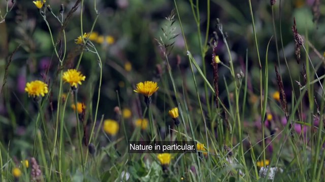 ASICS Made of Sport_ I am made of blazing trails not following paths (1080p)