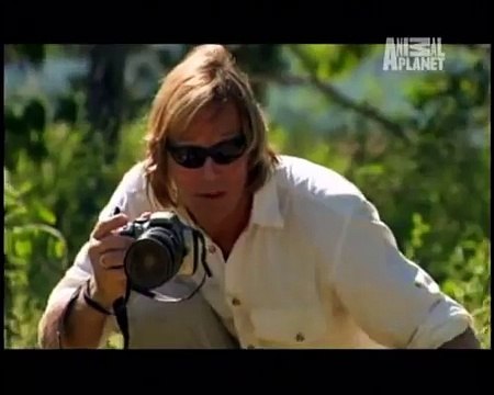 Austin Stevens se arrisca na briga de dois dragões de Comodo - maior lagarto do mundo - imagem real