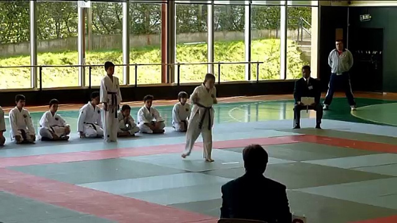 Coupe de France karaté Shorin Ryu et kobudo, Oshukai 2015