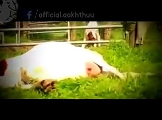 Watch The Power Of Word Allah - Dateline.pk - Must Watch