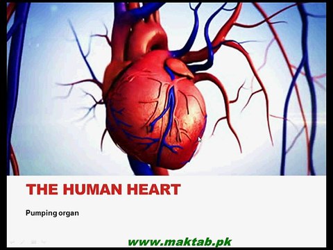 FSc Biology Book1, CH 14, LEC 12; Structure of Human Heart