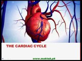 FSc Biology Book1, CH 14, LEC 13; Cardiac Cycle