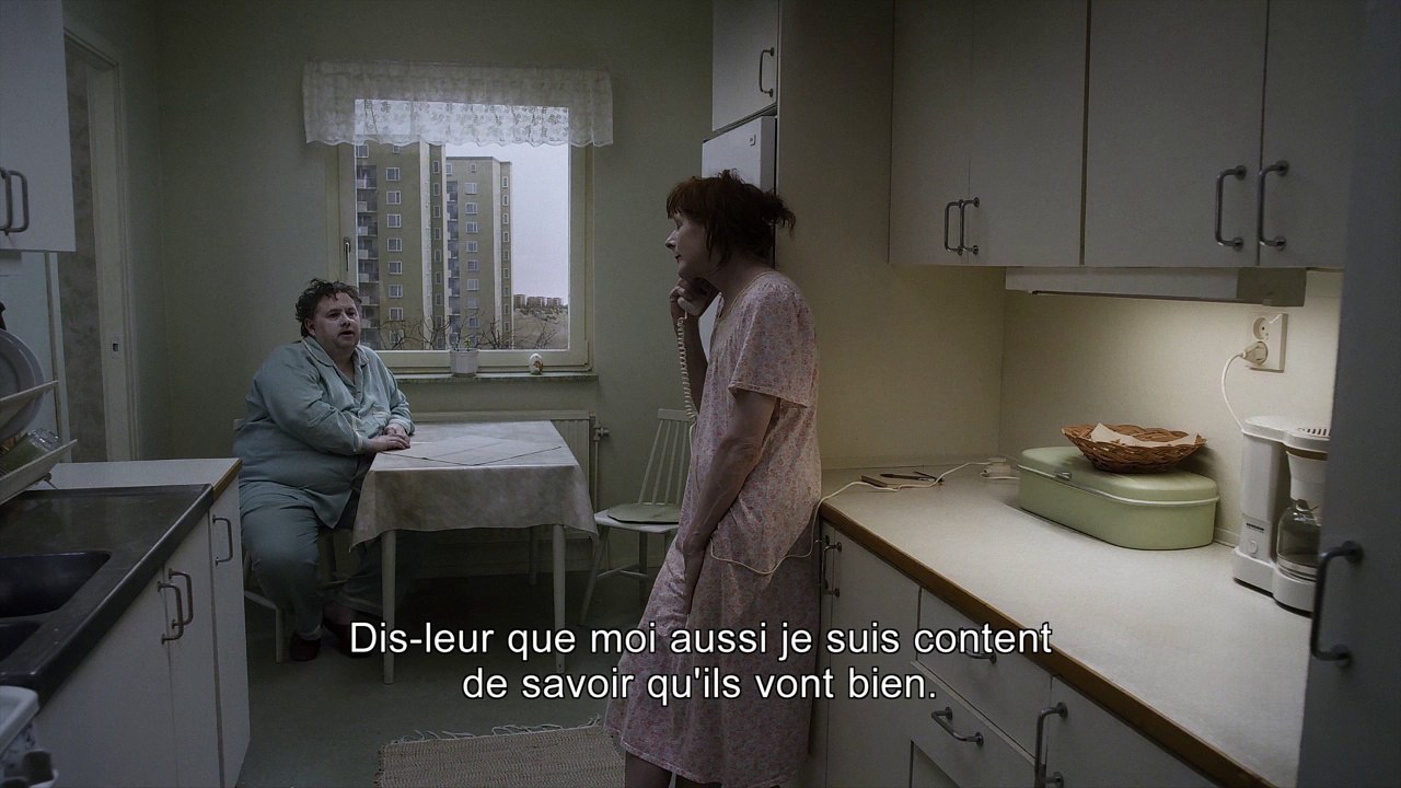 UN PIGEON PERCHE SUR UNE BRANCHE PHILOSOPHAIT SUR L'EXISTENCE - Bande-annonce VO