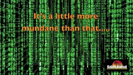 Bonsai Wiring Part 2-The Burning Question