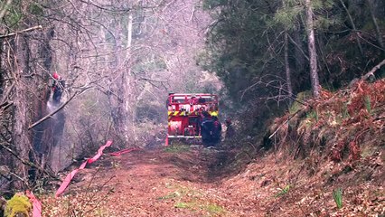 Feu de Ciamanacce : 20 ha parcourus par les flammes