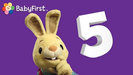 TAVŞANCIK  HARRY ile sayıları öğrenin: BEŞ