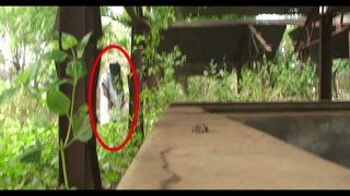 Ghost caught standing - AMAZING shocking video