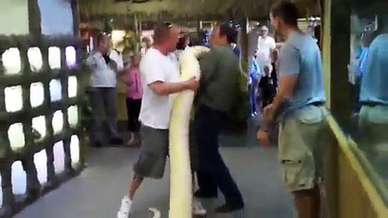People lifted huge snake. it is unbelievable