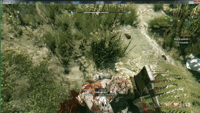 Dying light , Recogiendo Lavanda, parte 102