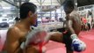 Le champion de Boxe Thaï en plein entrainement : séance de kick boxing bien violente!