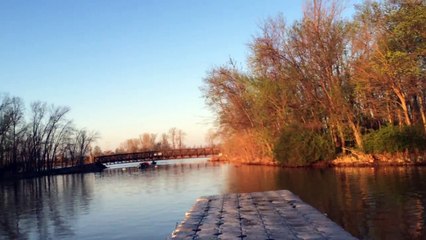Cardumen de peces atacan a estudiantes que practicaban remo