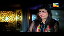 Sartaj Mera Tu Raj Mera Episode 32 - 16 April 2015 - Hum Tv