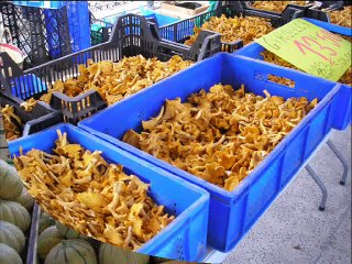 Le marché du quai du Roi à Orléans
