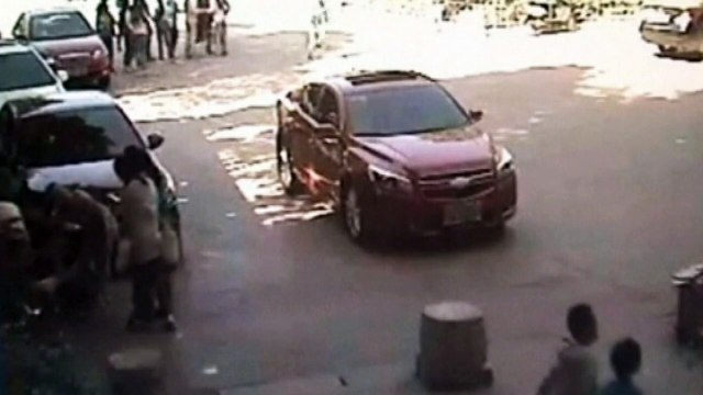 Frightened buffalo charges through school in China