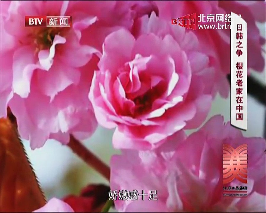 20150416 这里是北京 2015-04-16