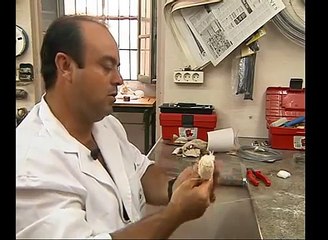 Taxidermia Manzano un dia con Arturo Manzano 5 de 5