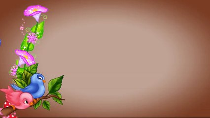 Cachorros Lenka & Indi 15-4-15