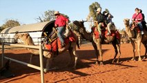 Uluru Camel Tours Offers Camel Rides – A Unique Way to Experience Uluru