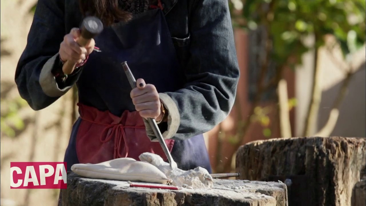 CANAL+ à l'école Steiner Waldorf de Verrières