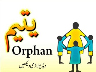 Treat Orphans politely - Must Watch