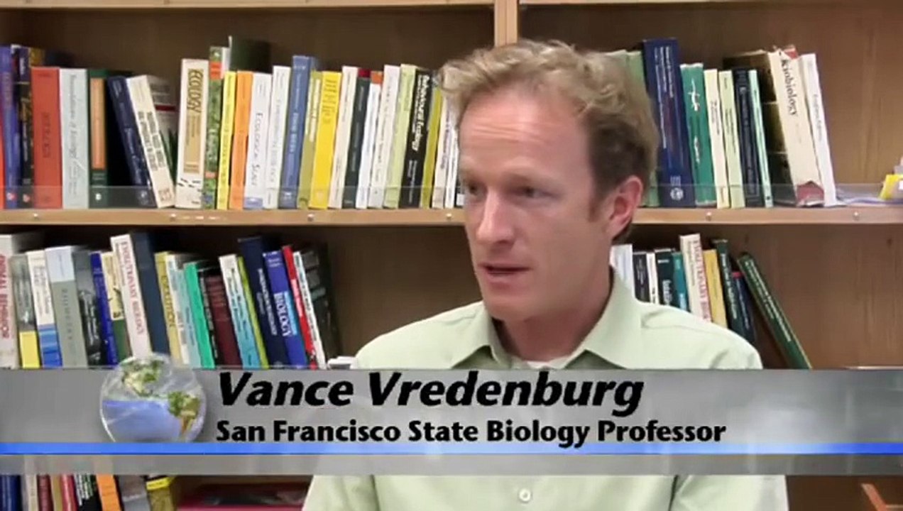 Science Nation ★ Disappearing Frogs ♦ Trying to Save the World s Amphibians