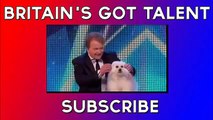 Britain's Got Talent Marc Métral with SINGING Dog Wendy AMAZING!! 2015