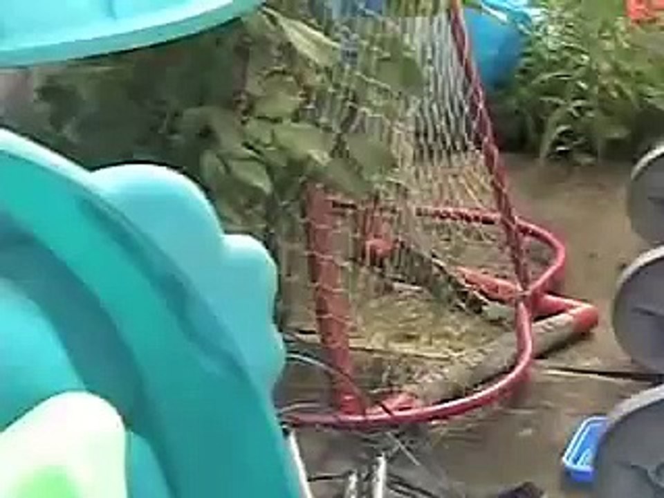 Abandoned Kittens Rescue