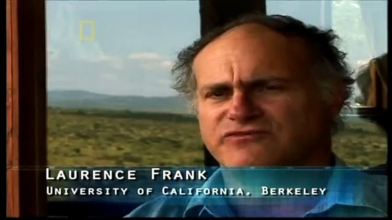 Kenya - Lions vs Masai