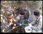 La truite de riviere - Inspection de la pêche du Canton de Berne