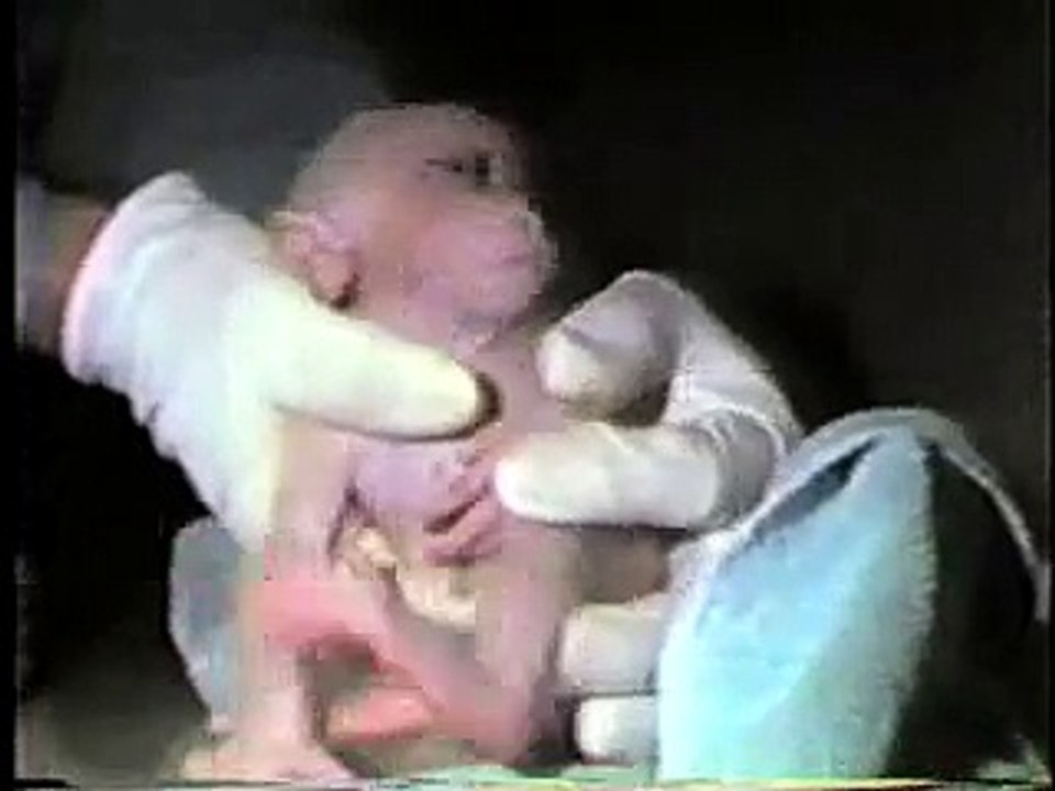 Animal Testing - Stop Animal Cruelty