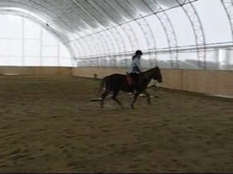 Moi et Canelle - Transition trot-galop