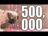 500,000 Subscribers! Thank You!
