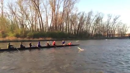 Ces Rameurs se font Attaquer par des Carpes Géantes !