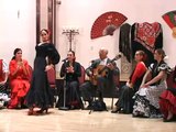 Tempestad - Flamenco - Solea