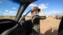 Africa Cries - Albina Hume The Rhino Lady On The Biggest Rhino Sanctuary In The World