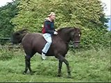 Fortuna und ich! Reiten ohne Sattel