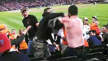 Yankees Fan Has Absurd Reaction to Getting Punched in the Face