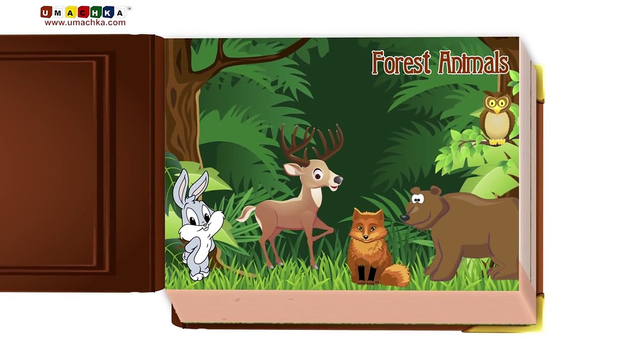 Flashcards for Kids - Infant Early Learning Educational Video: Forest Animals.