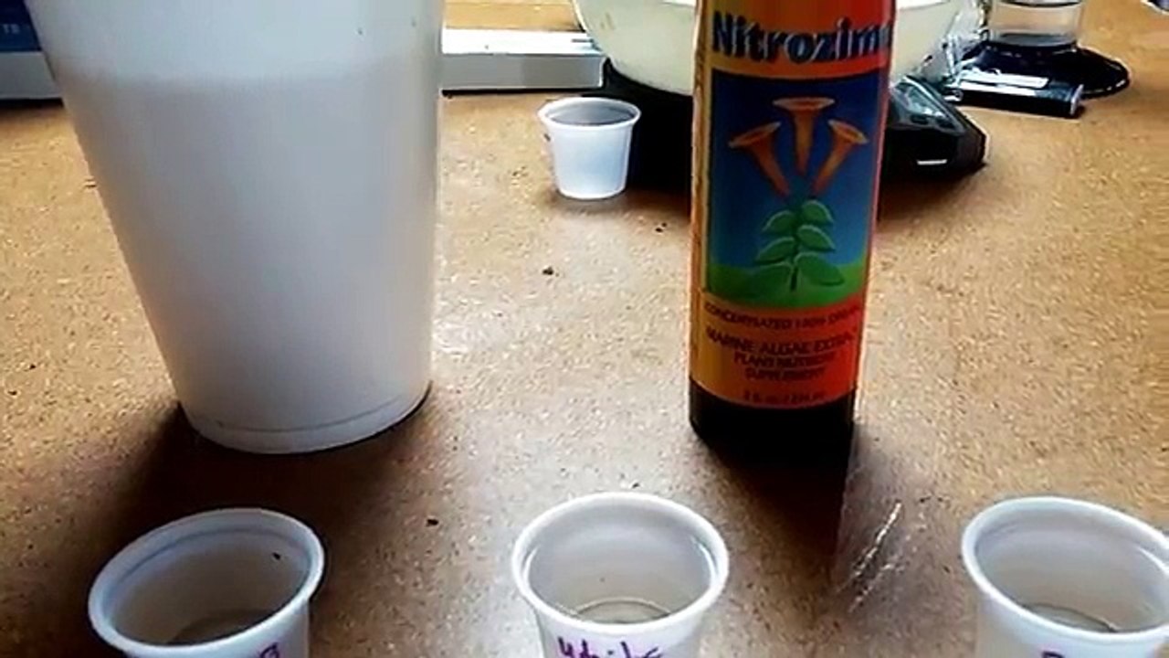 How To Grow Marijuana Seeds 100% Success Rate Every Time