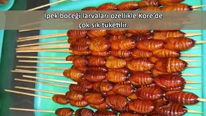 İnsanların Yediği En İğrenç Hayvanlar
