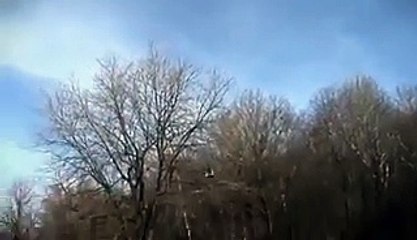 OMG!!! Golden Eagle is Snatching a Kid  Video Dailymotion