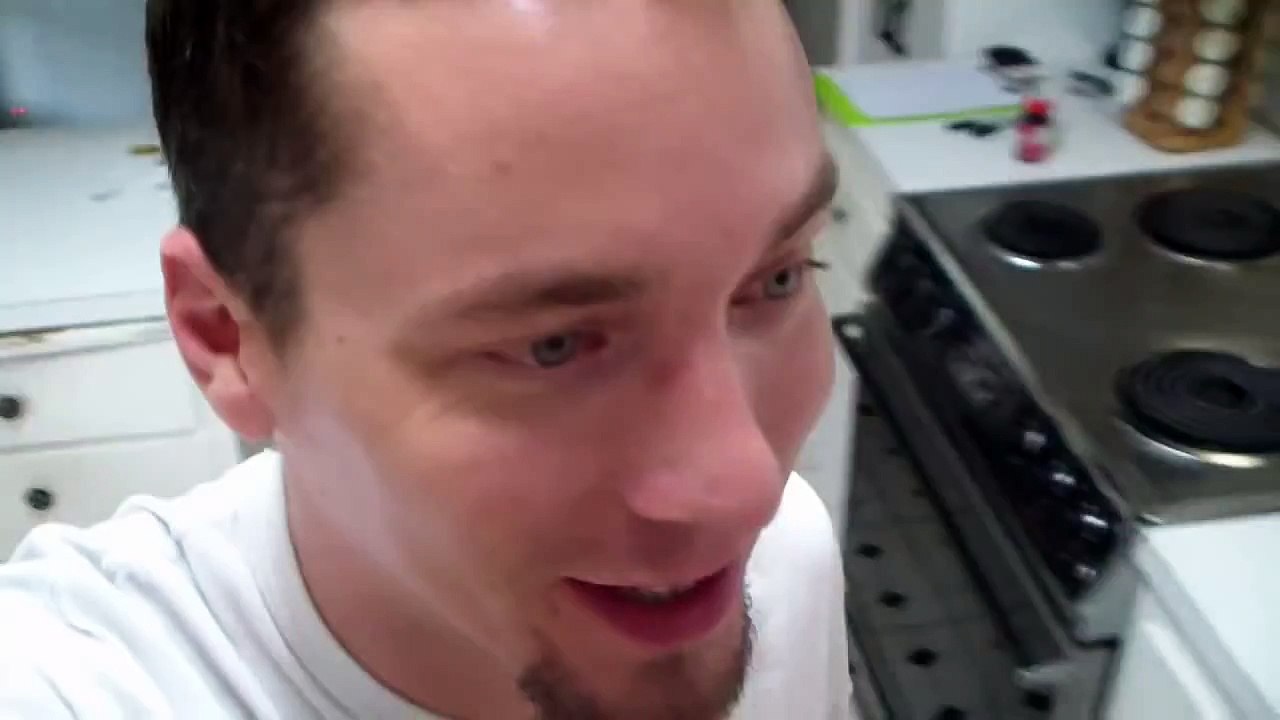 Talking Kitty Cat 26 - No Pets Allowed