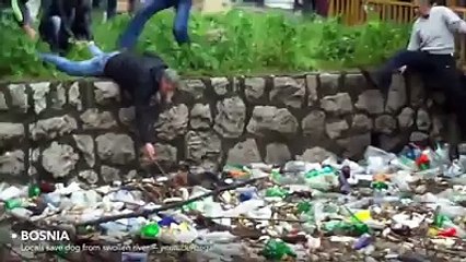 Restore your faith in humanity in 4 minutes flat