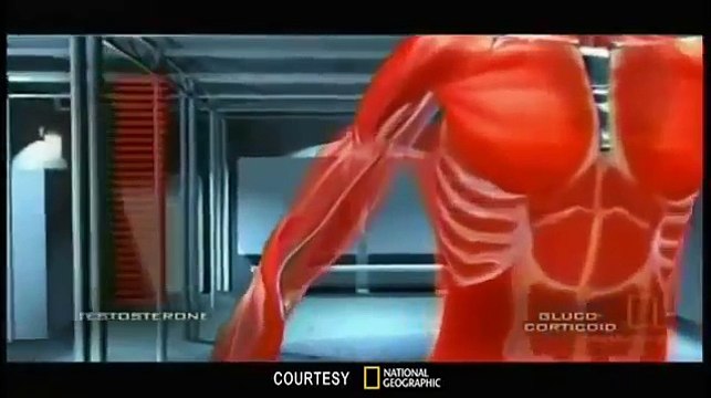 Medical Videos bodybuilding steroids side effects