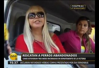 La Victoria: Rescataron a perros que fueron abandonados en un departamento