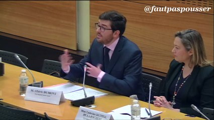 Commission d enquête Maintient de l'ordre (Assemblée Nat) Audition Ludo et Alban LaManifPourTous (partie 2)