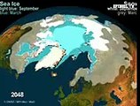 Endzeit für die Polarbären in der Arktis?