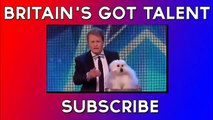 Britain's Got Talent - Marc Métral with SINGING Dog Wendy- AMAZING!! 2015