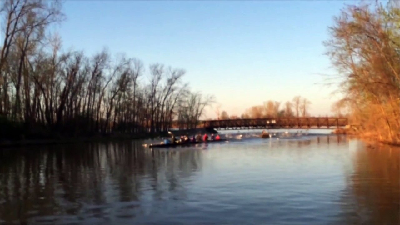 Des carpes asiatiques attaquent des étudiants sur un lac du Missouri